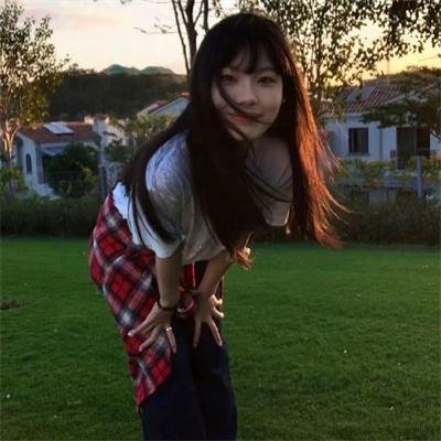 长毛狗