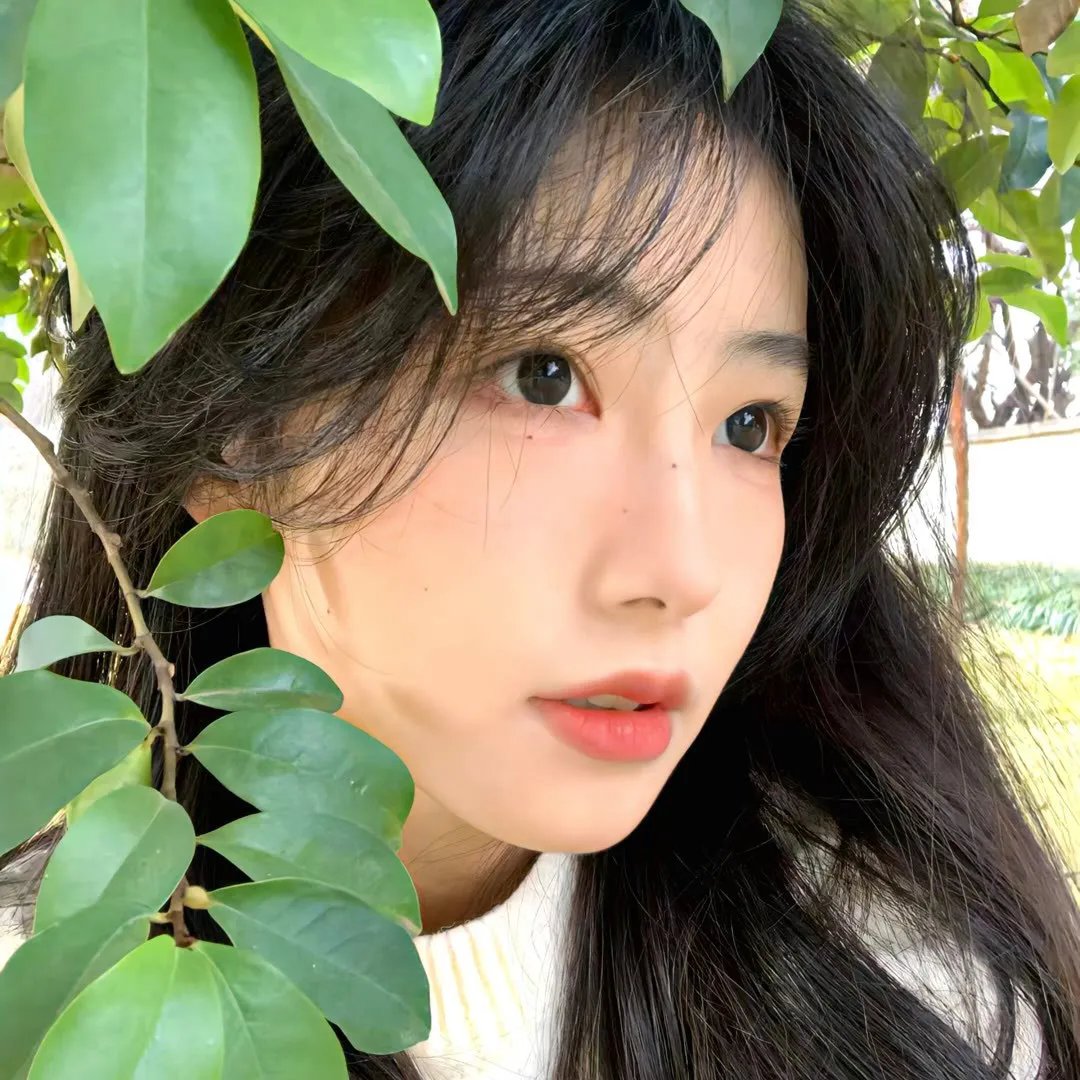 木乃伊魔咒